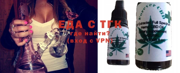 индика Алексин
