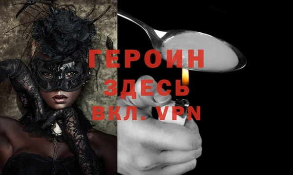индика Алексин