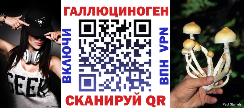 закладки  Челябинск  OMG ONION  Галлюциногенные грибы Cubensis 